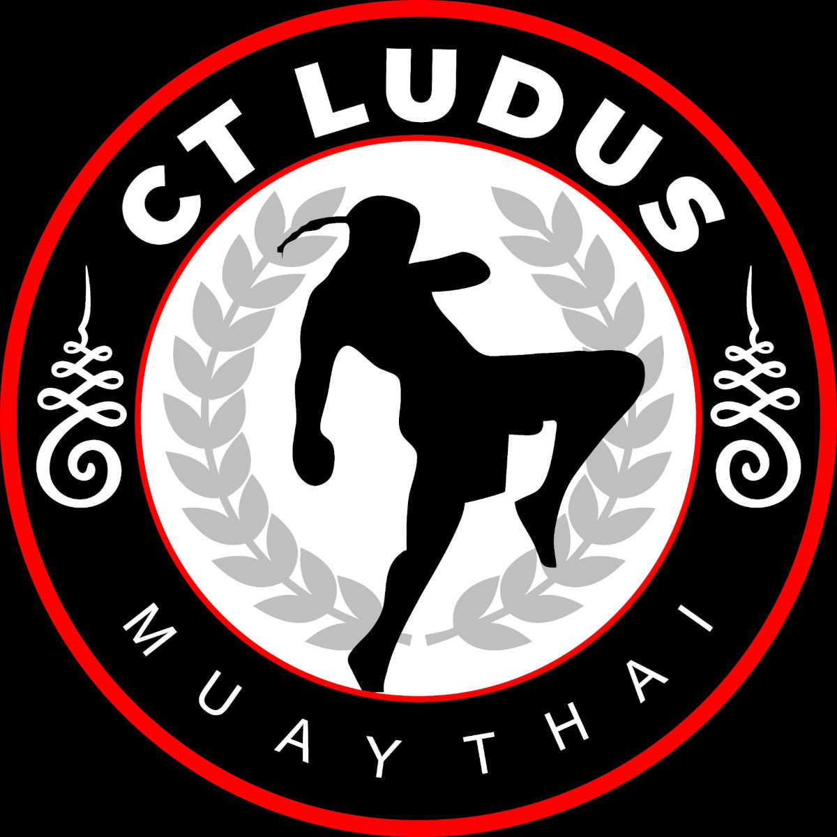 Logo CT Ludus